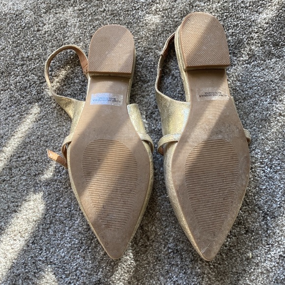 Gold Flats - Picture 3 of 4